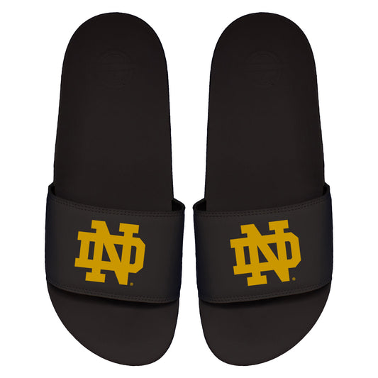 Notre Dame Primary Motto Slides