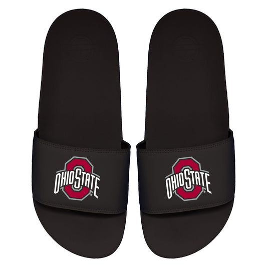 Ohio State Primary Motto Slides