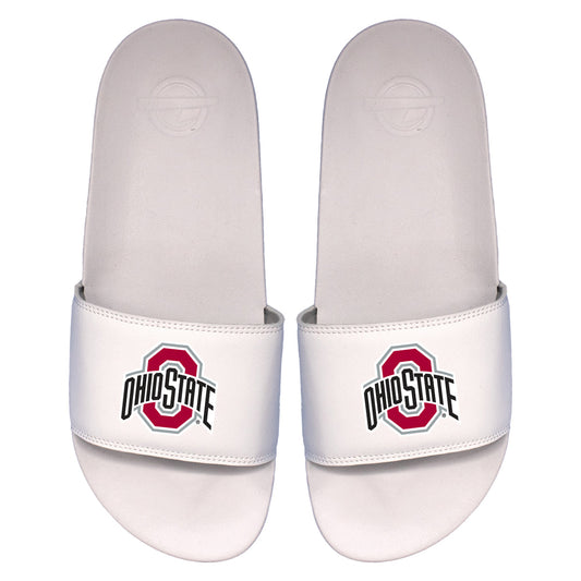 Ohio State Primary Motto Slides