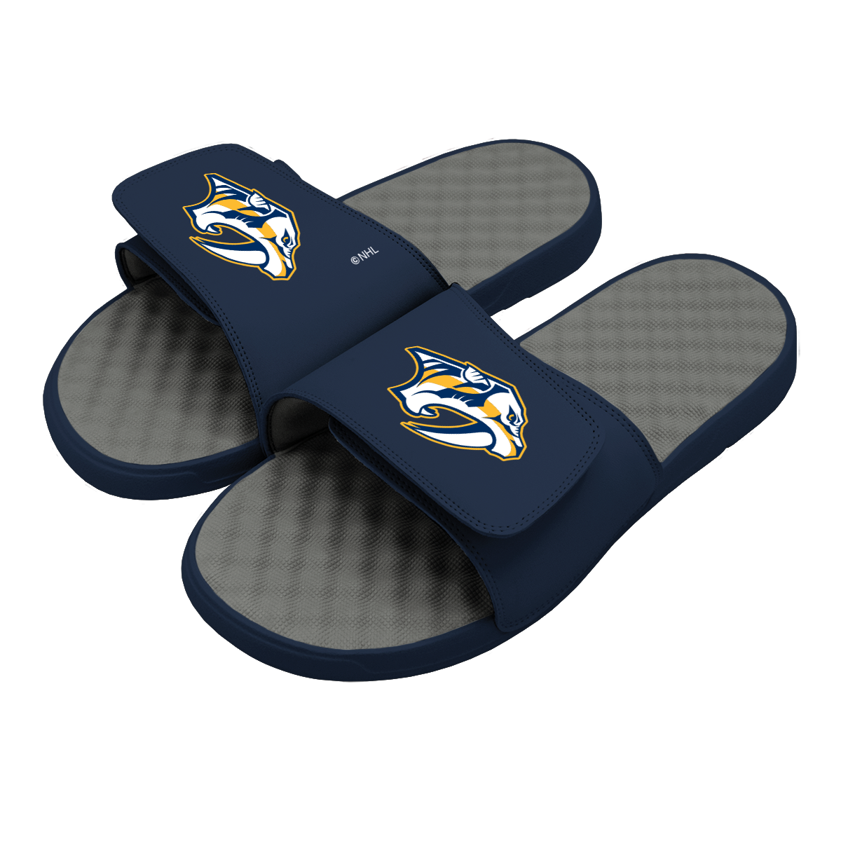 Predators Primary Logo Slides