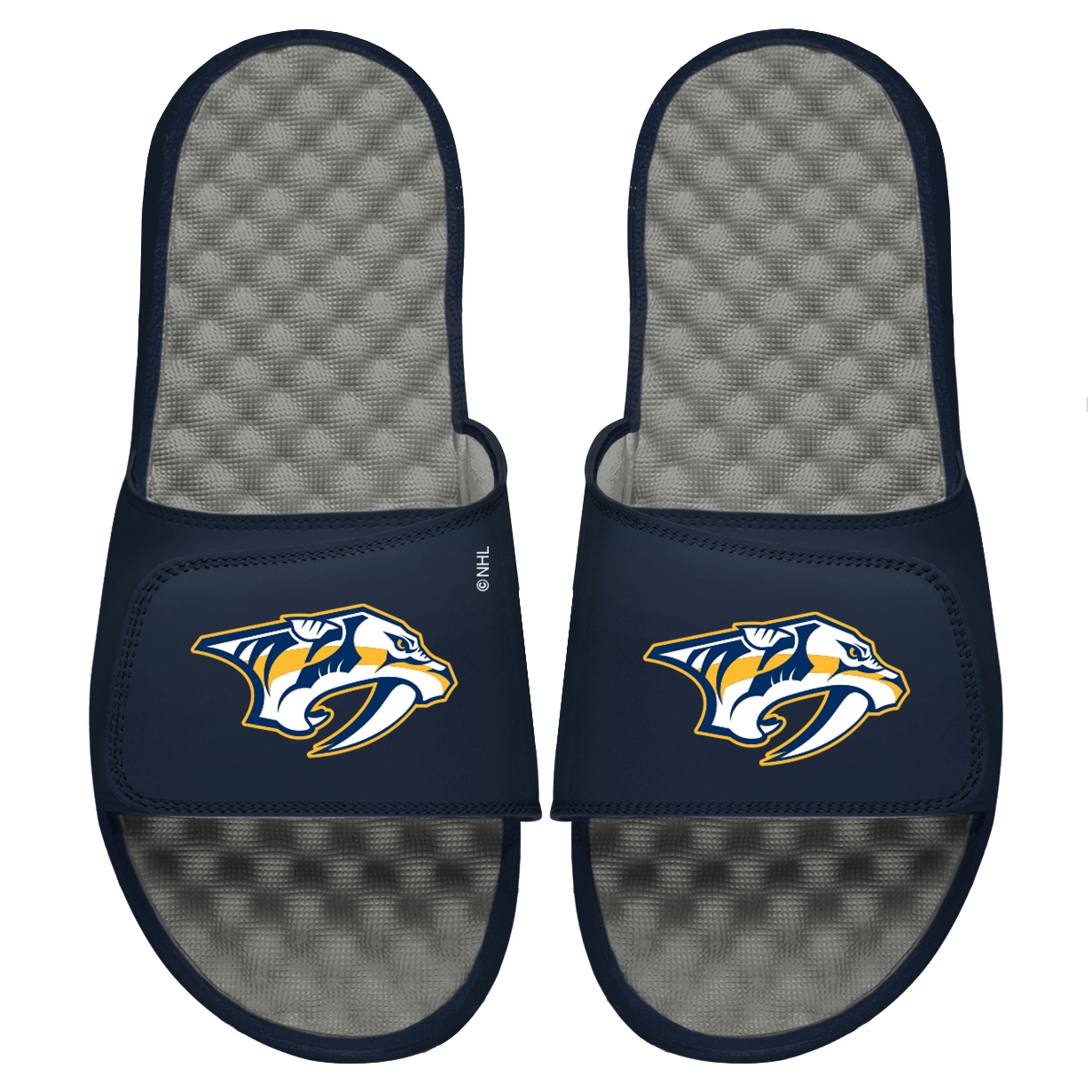 Predators Primary Logo Slides
