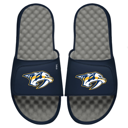 Predators Primary Logo Slides