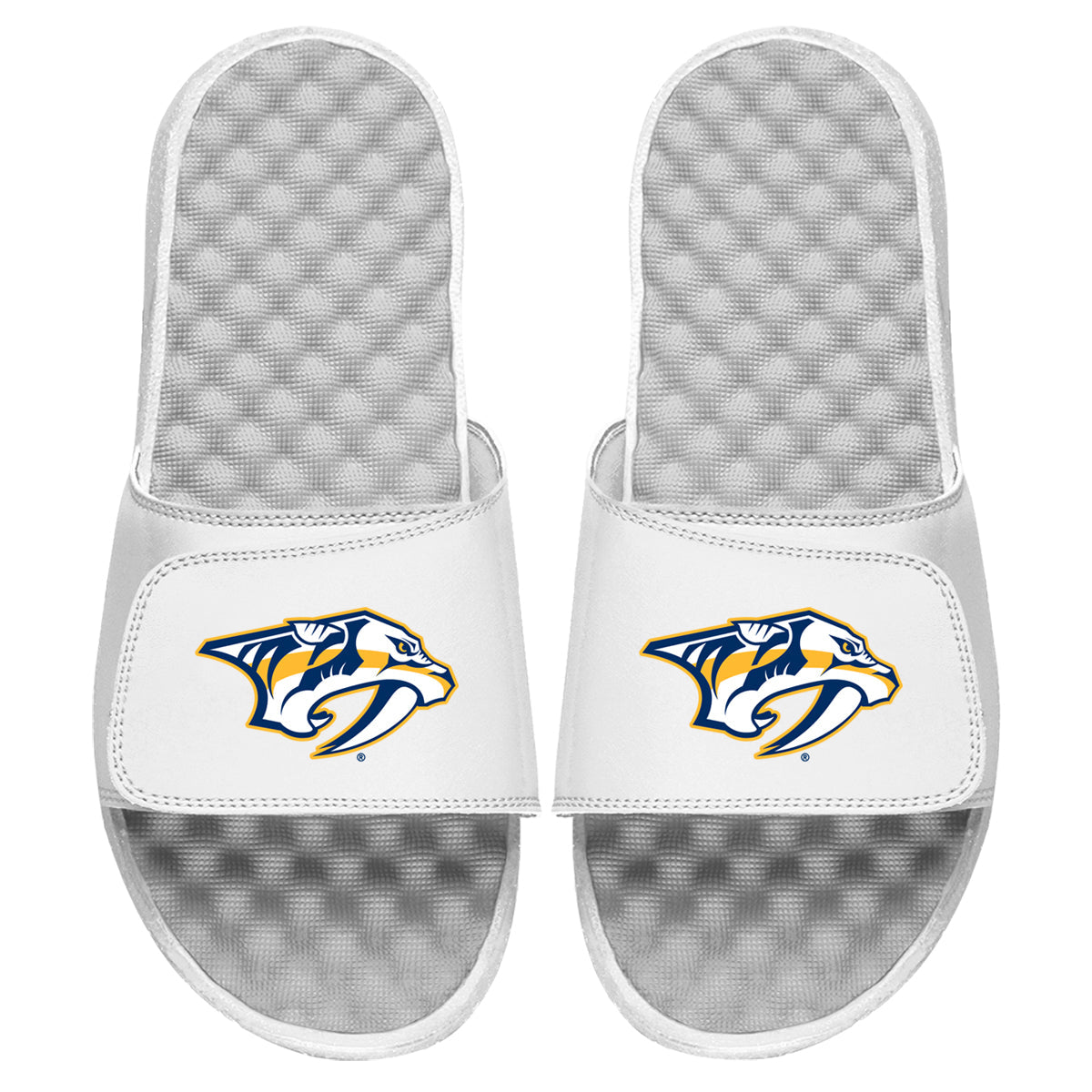 Nashville Predators Primary Slides