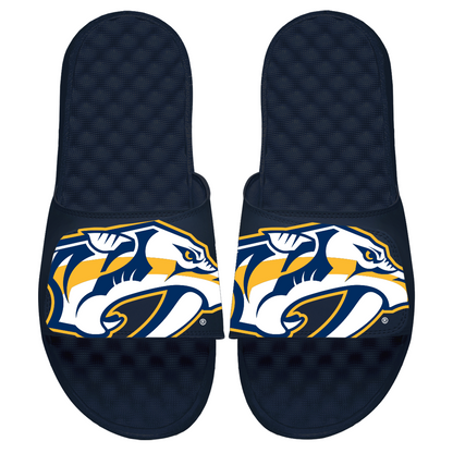 Nashville Predators Blown Up Slides