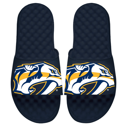 Nashville Predators Blown Up Slides