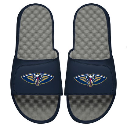 Pelicans Primary Logo Slides