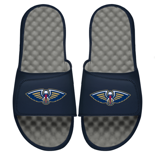 Pelicans Primary Logo Slides