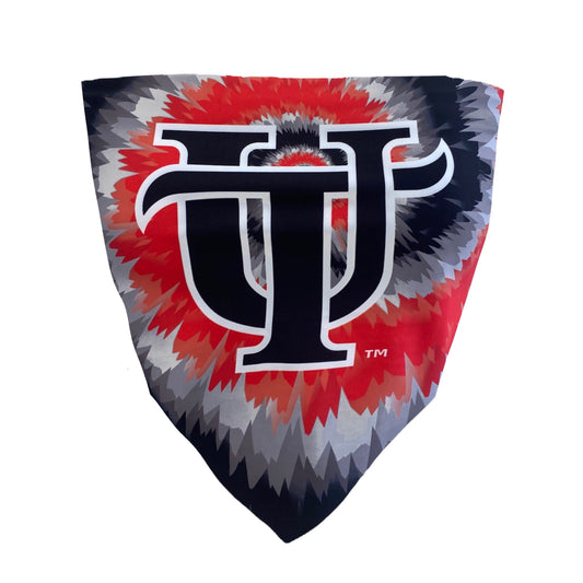 Tampa Tie Dye Bandana Top