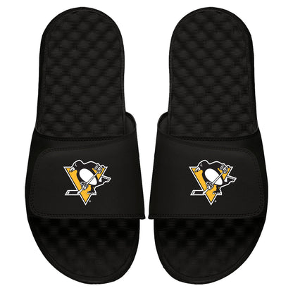 Pittsburgh Penguins Primary Slides