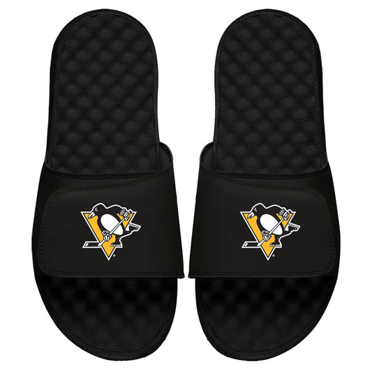 Pittsburgh Penguins Primary Slides