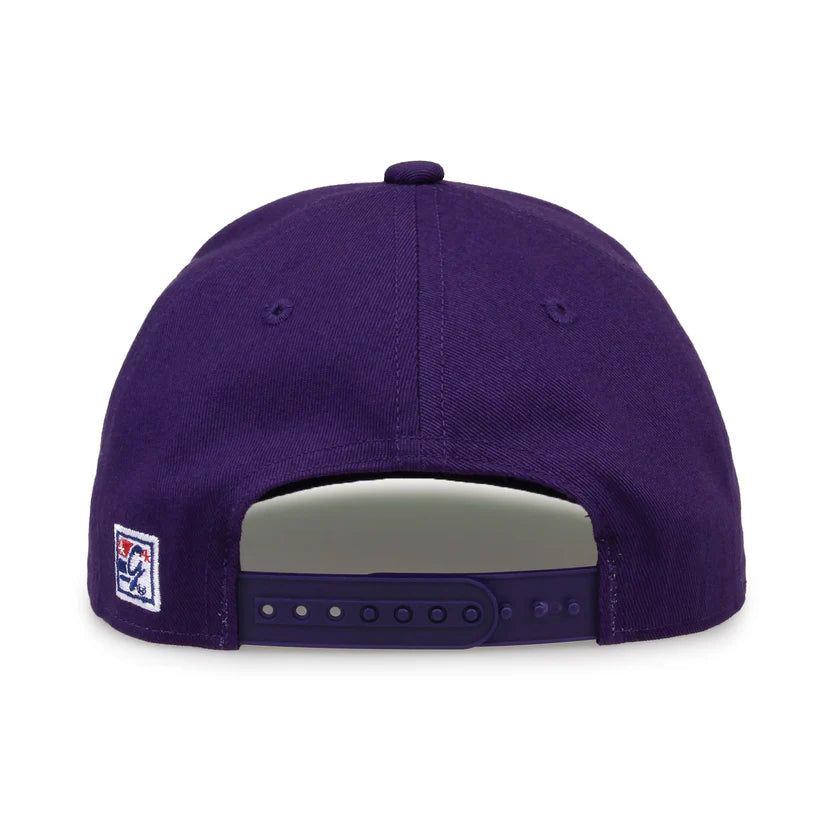 TCU Horned Frogs Retro Circle Snapback Hat