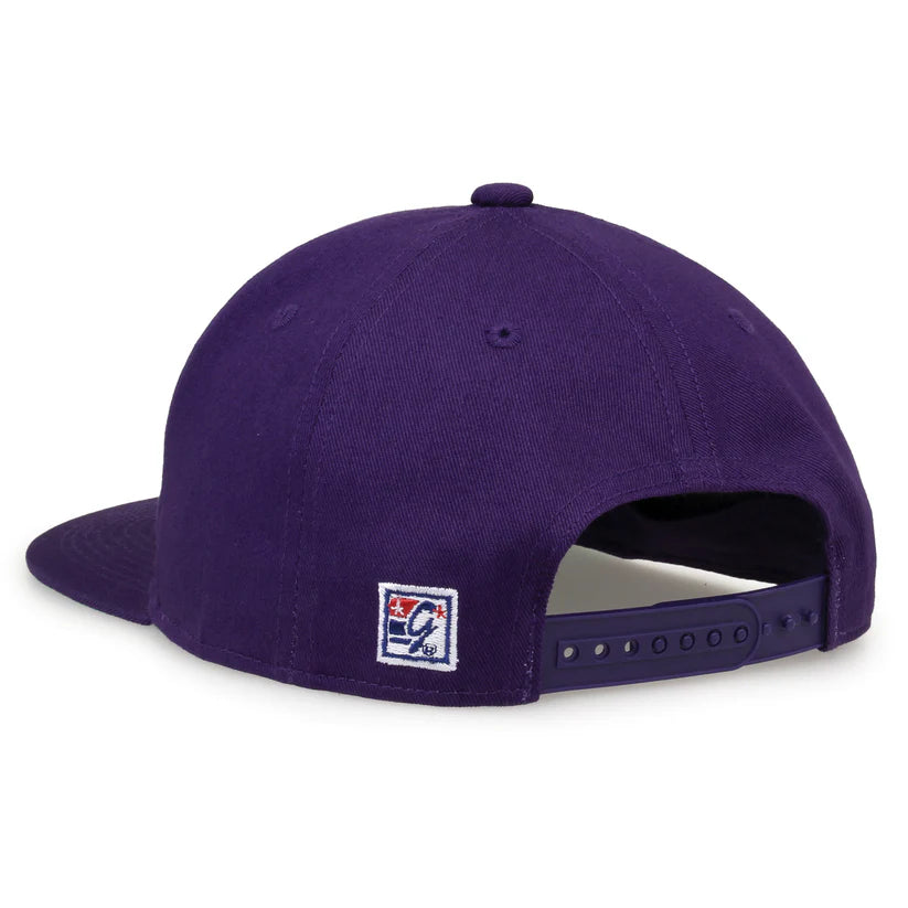 TCU Horned Frogs Retro Circle Snapback Hat