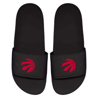 Raptors Primary Motto Slides