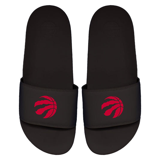 Raptors Primary Motto Slides