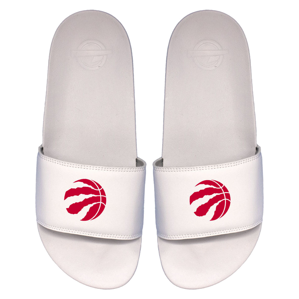 Raptors Primary Motto Slides