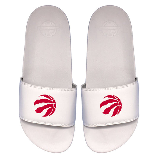 Raptors Primary Motto Slides