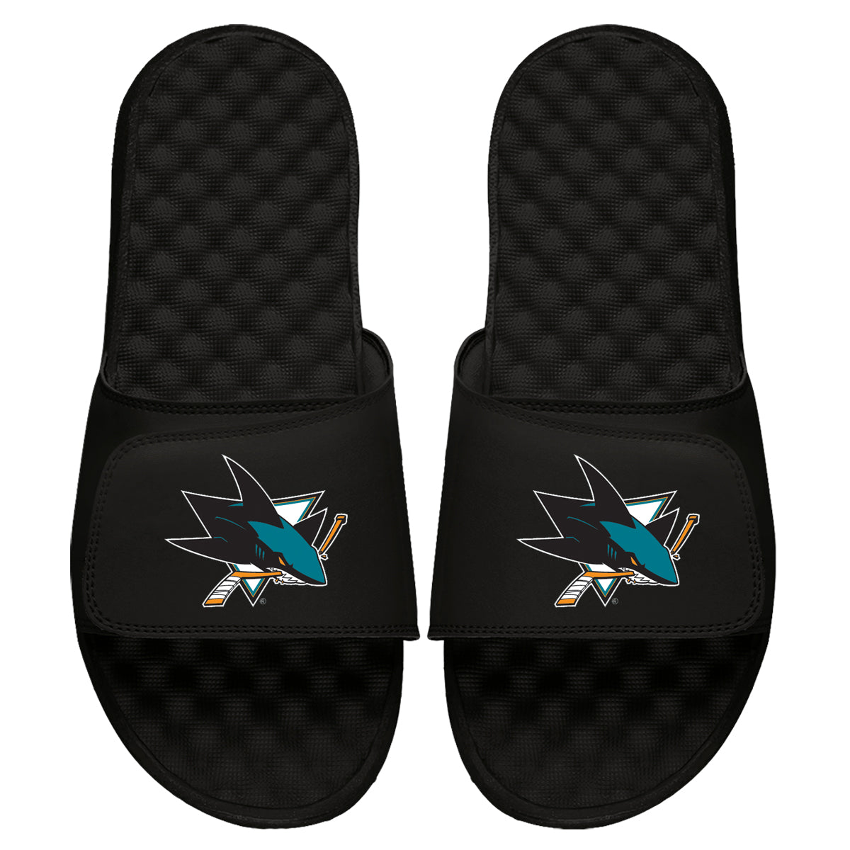 San Jose Sharks Primary Slides