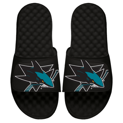 San Jose Sharks Blown Up Slides