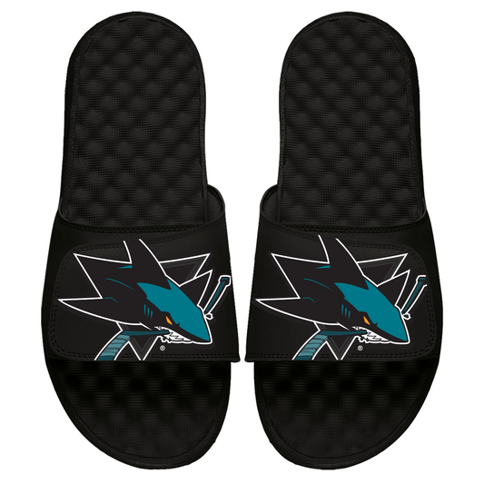 San Jose Sharks Blown Up Slides