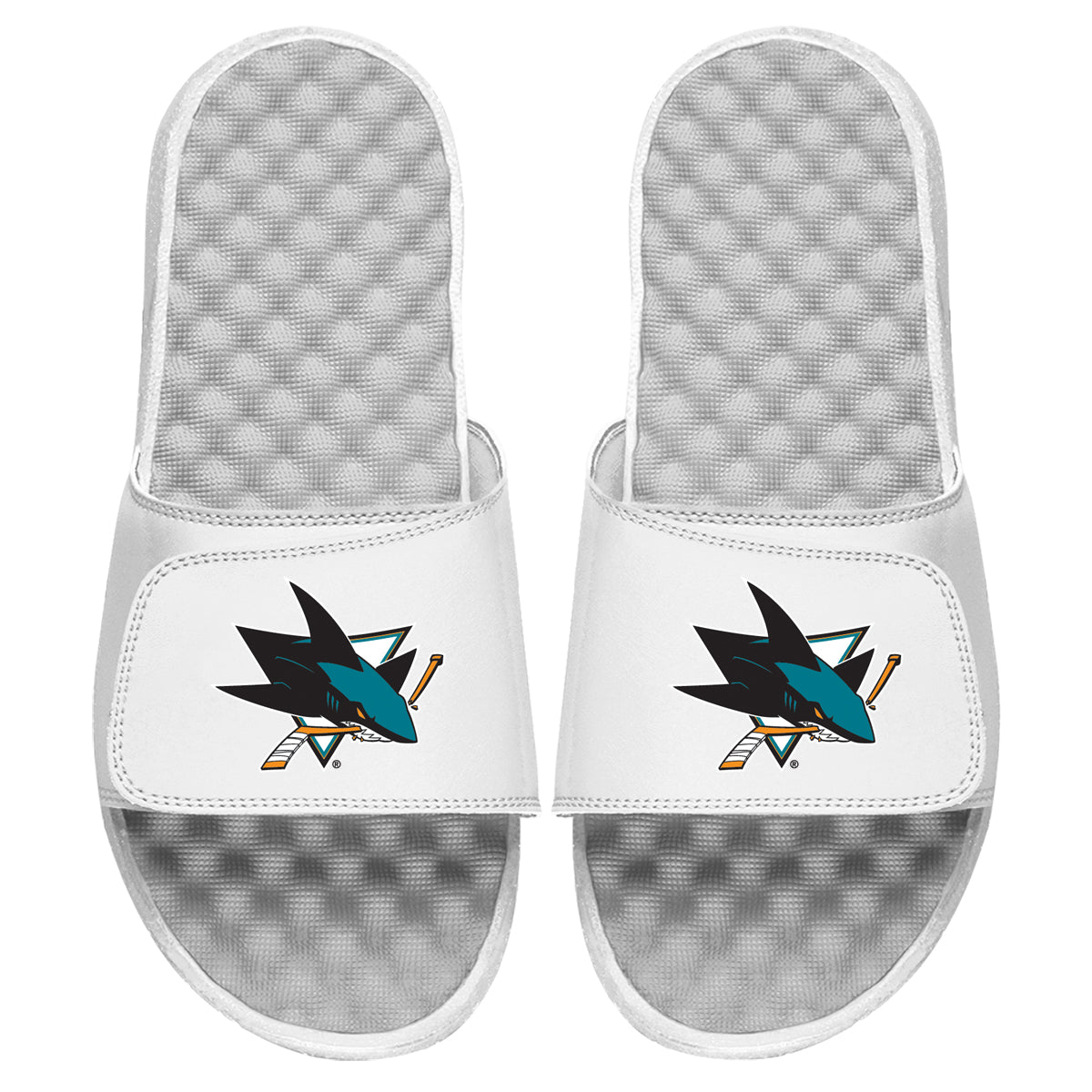 San Jose Sharks Primary Slides