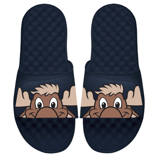 Seattle Mariners Mascot Slides