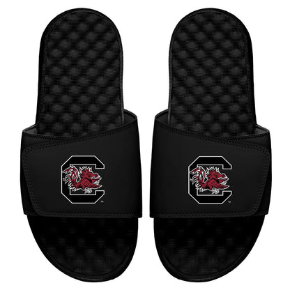 South Carolina Gamecocks Primary Slides