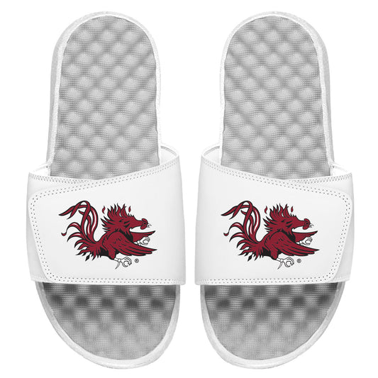 South Carolina Secondary Slides