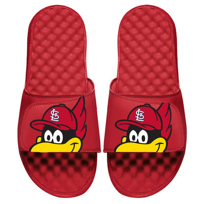 St. Louis Cardinals Mascot Slides