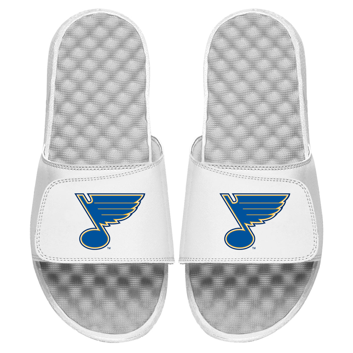 St Louis Blues Primary Slides