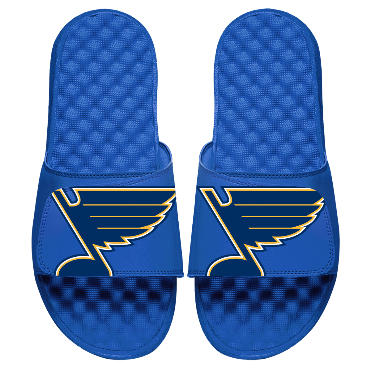 St Louis Blues Blown Up Slides