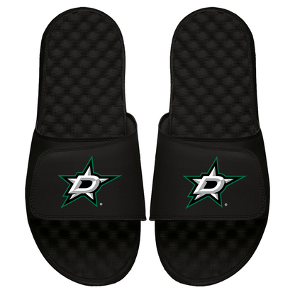 Dallas Stars Primary Slides