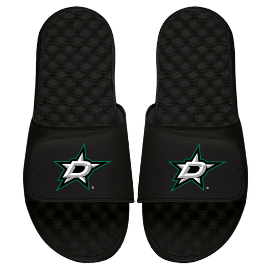 Dallas Stars Primary Slides