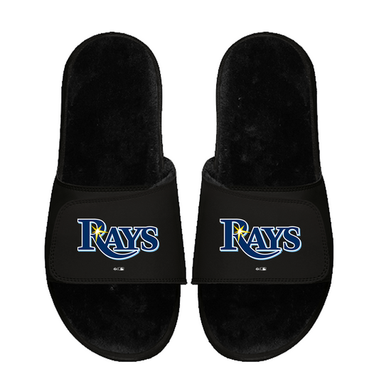 Tampa Bay Rays Primary Black Fur