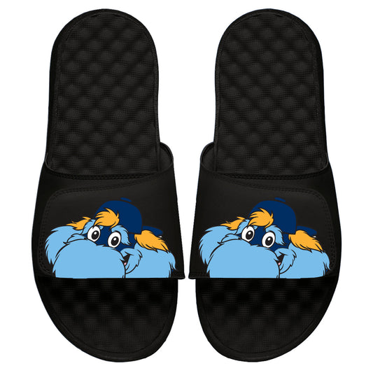 Tampa Bay Rays Mascot Slides