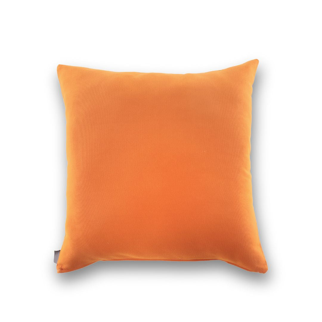 University of Tennessee Colors Pillow Cover