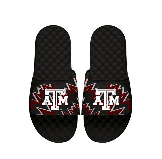 NCAA Texas A&M High Energy Slides