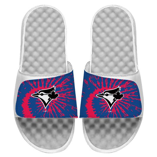 Toronto Blue Jays Slides
