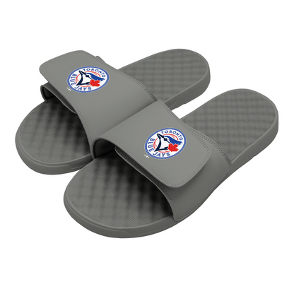 Toronto Blue Jays Primary Slides