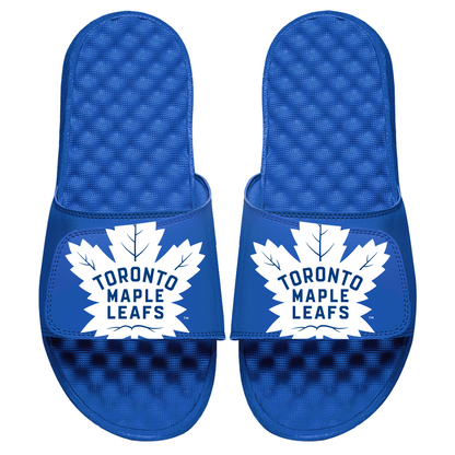 Toronto Maple Leafs Blown Up Slides