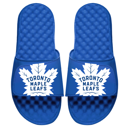 Toronto Maple Leafs Blown Up Slides