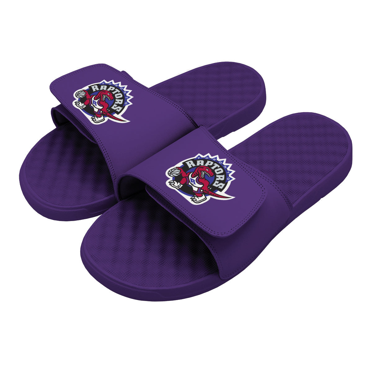 Raptors HWC Primary Logo Slides