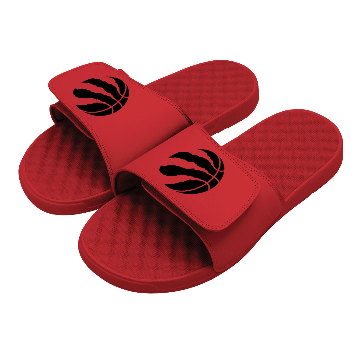 Toronto Raptors Primary Slides