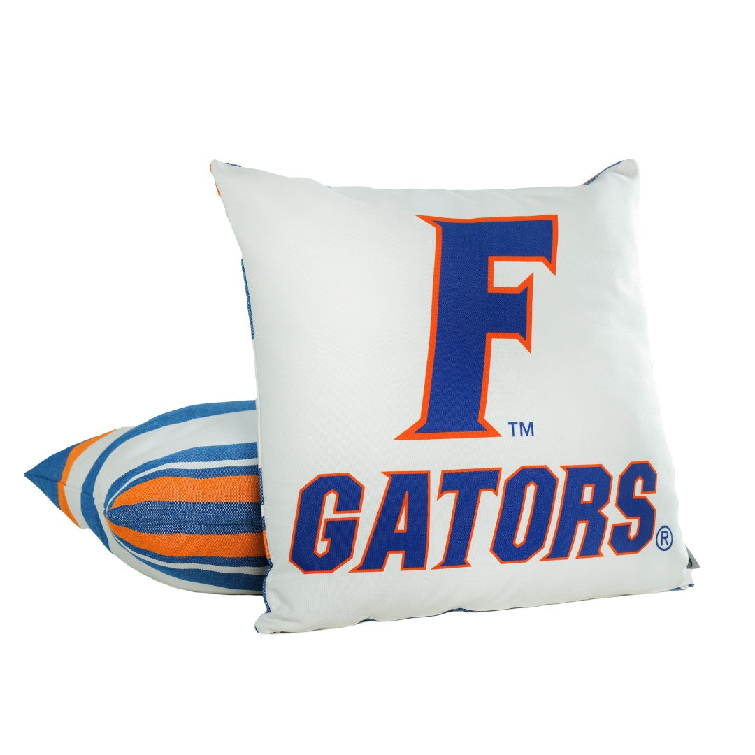 Florida Gators Logo Hammock Chair Swing