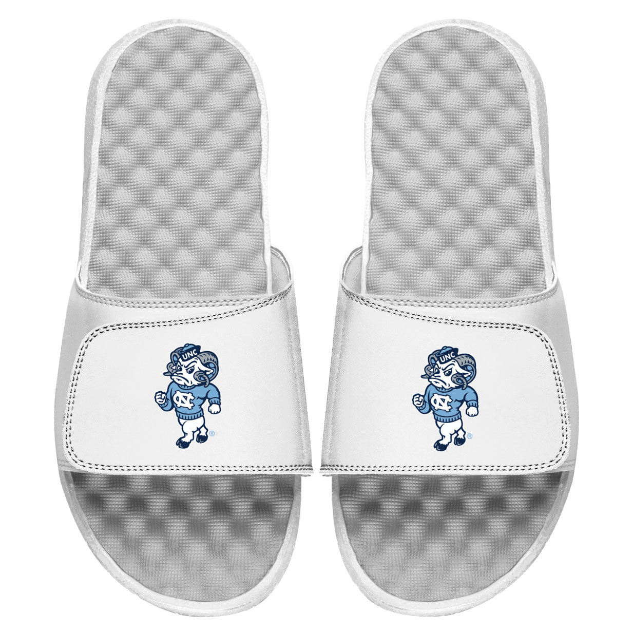 UNC Alternate Mascot Slides