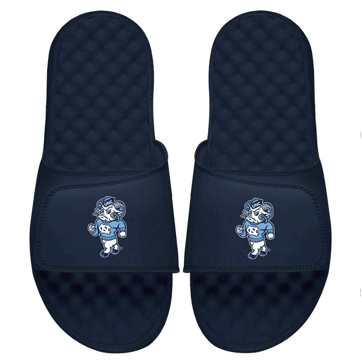 UNC Alternate Mascot Slides