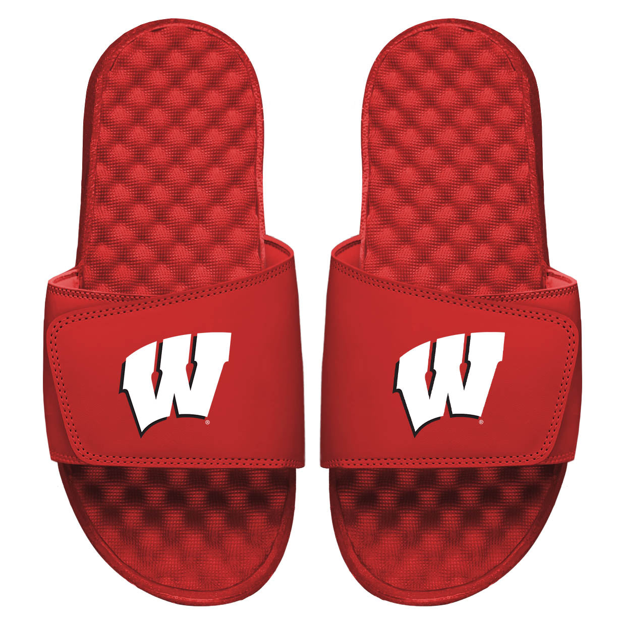 Wisconsin Primary Logo Slides