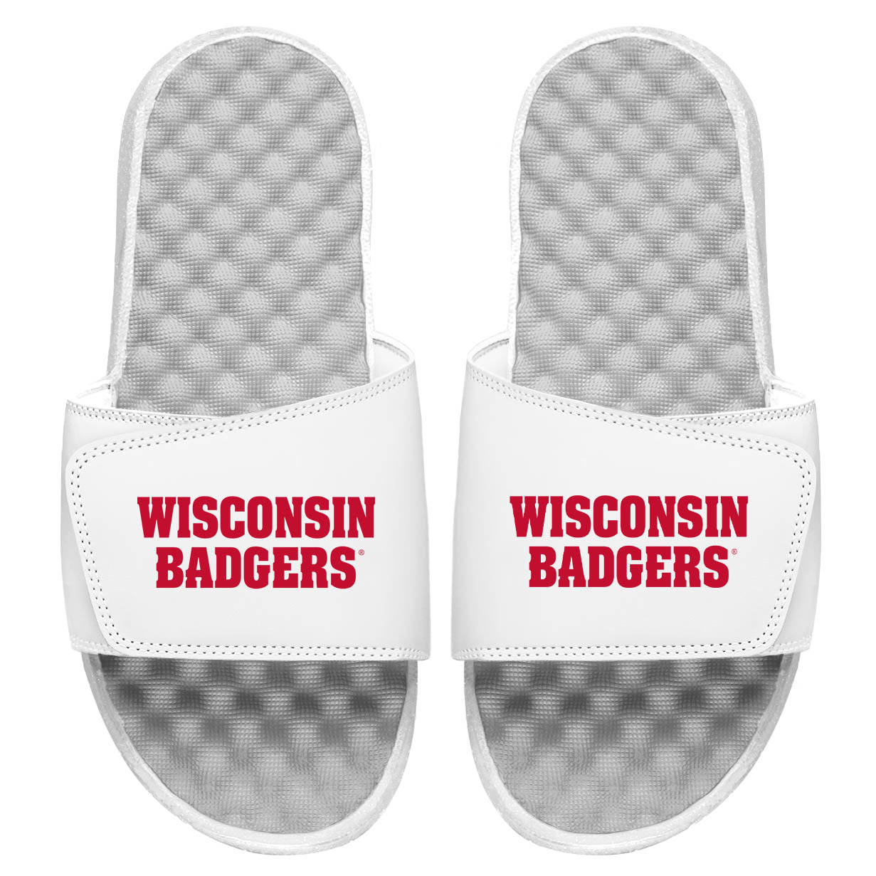 Wisconsin Badgers Wordmark Slides