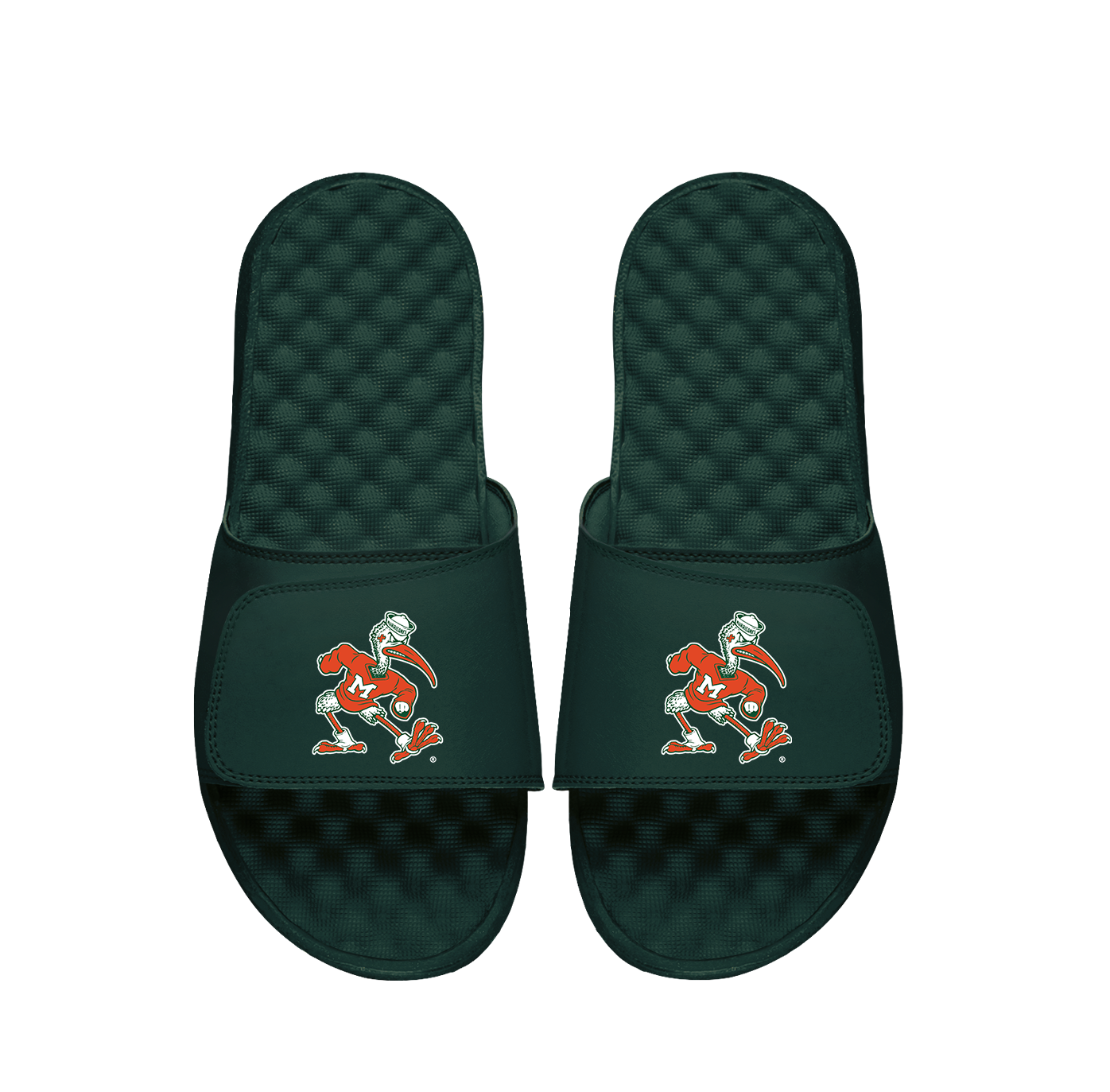 University of Miami Mascot Slides