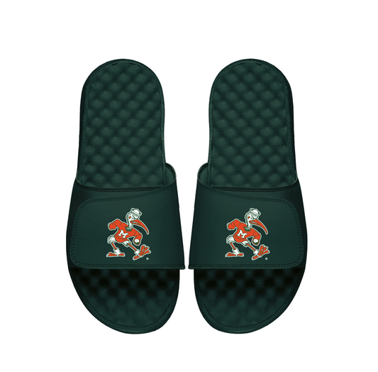University of Miami Mascot Slides