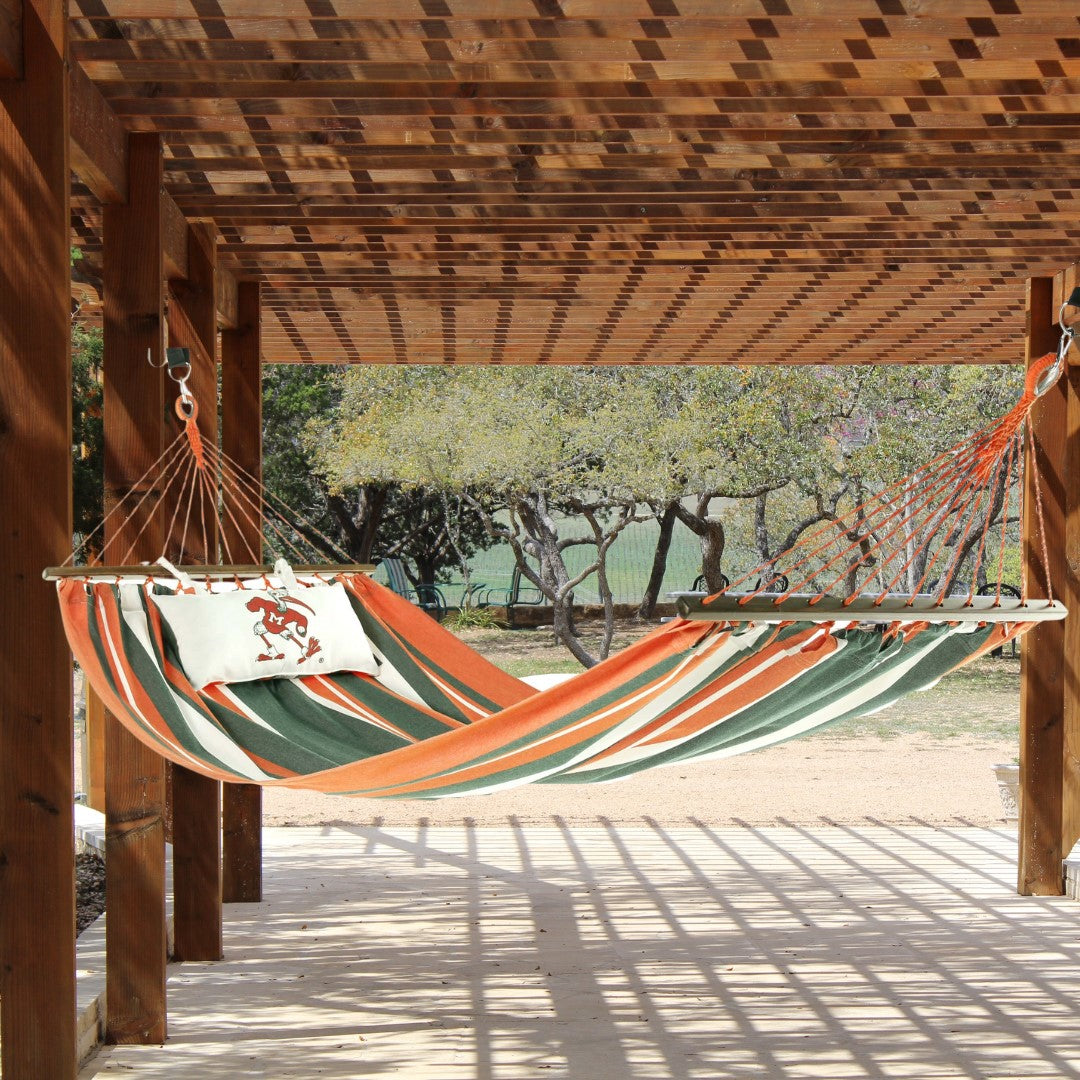 University of Miami Hurricanes Hammock | IBIS